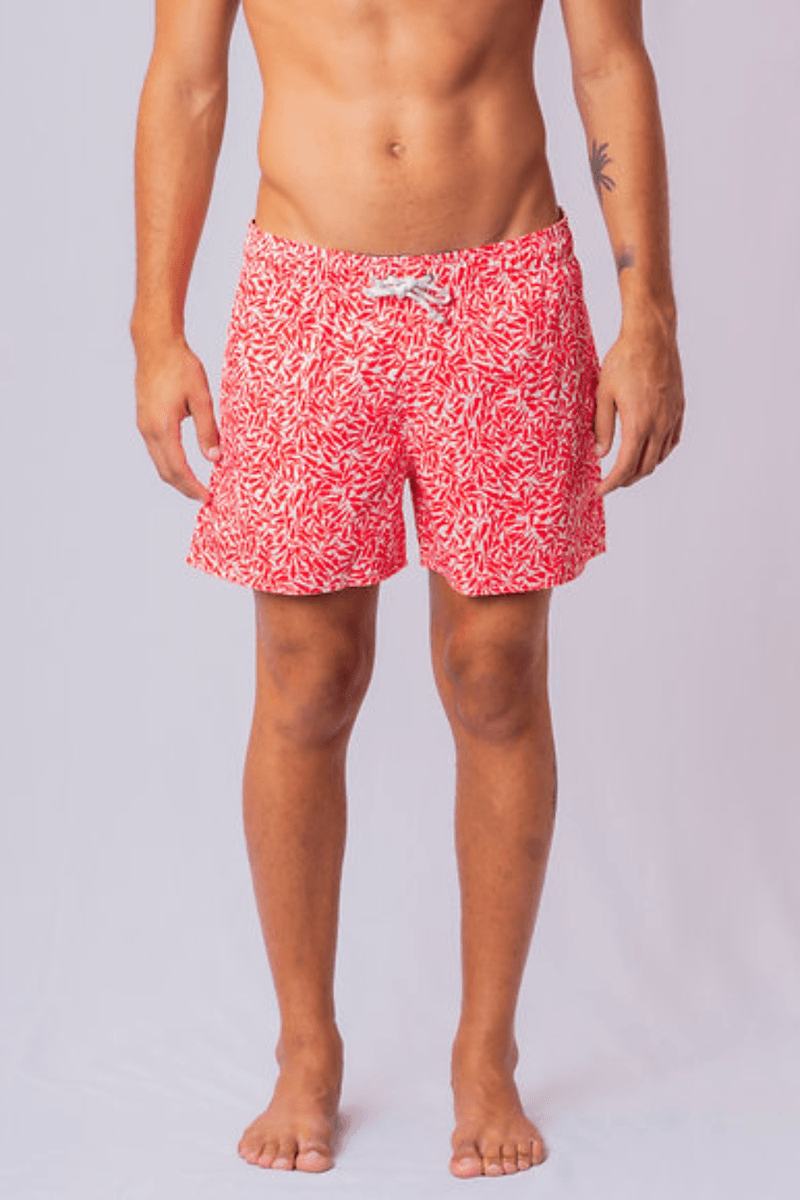 image-567de408dc694be6aed2213d650a7196