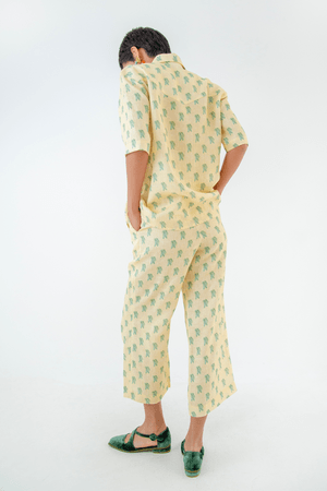 CAMISA LINHO ERVILHA